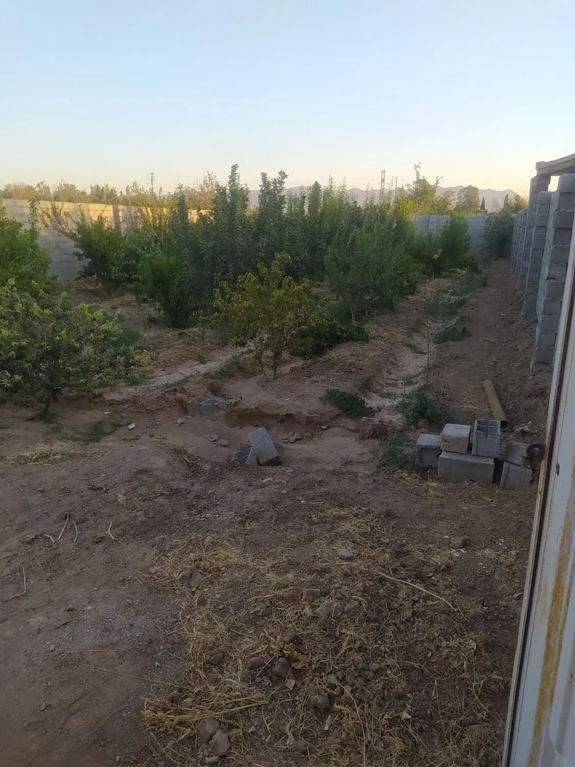 باغ قلعه سفید