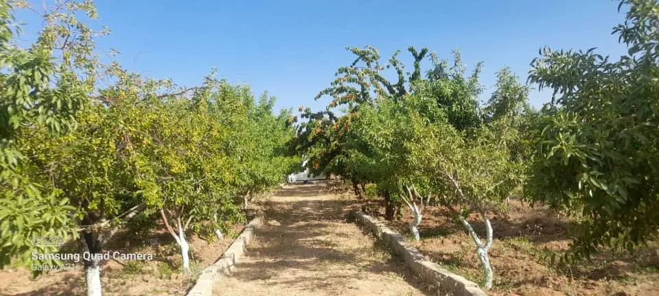 فروش دوسهم زمین مهدی آباد