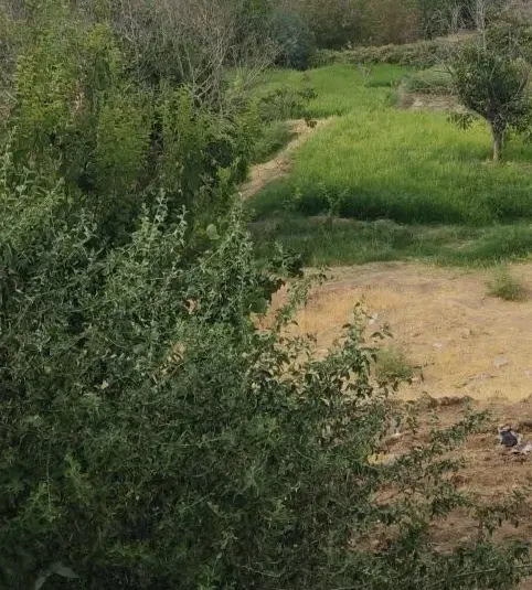 پارک ۹ دی
