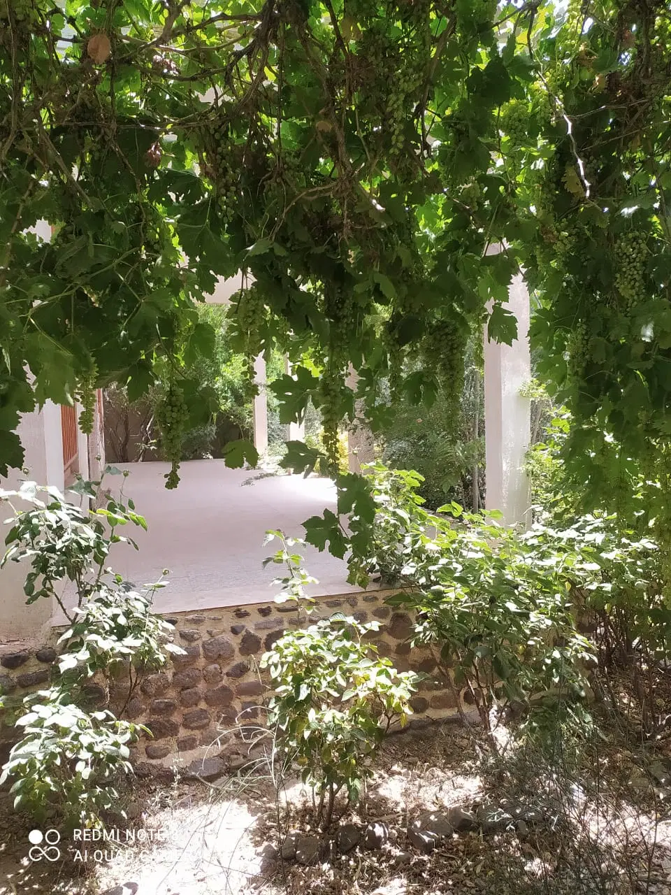 باغ فول امکانات کوهپایه