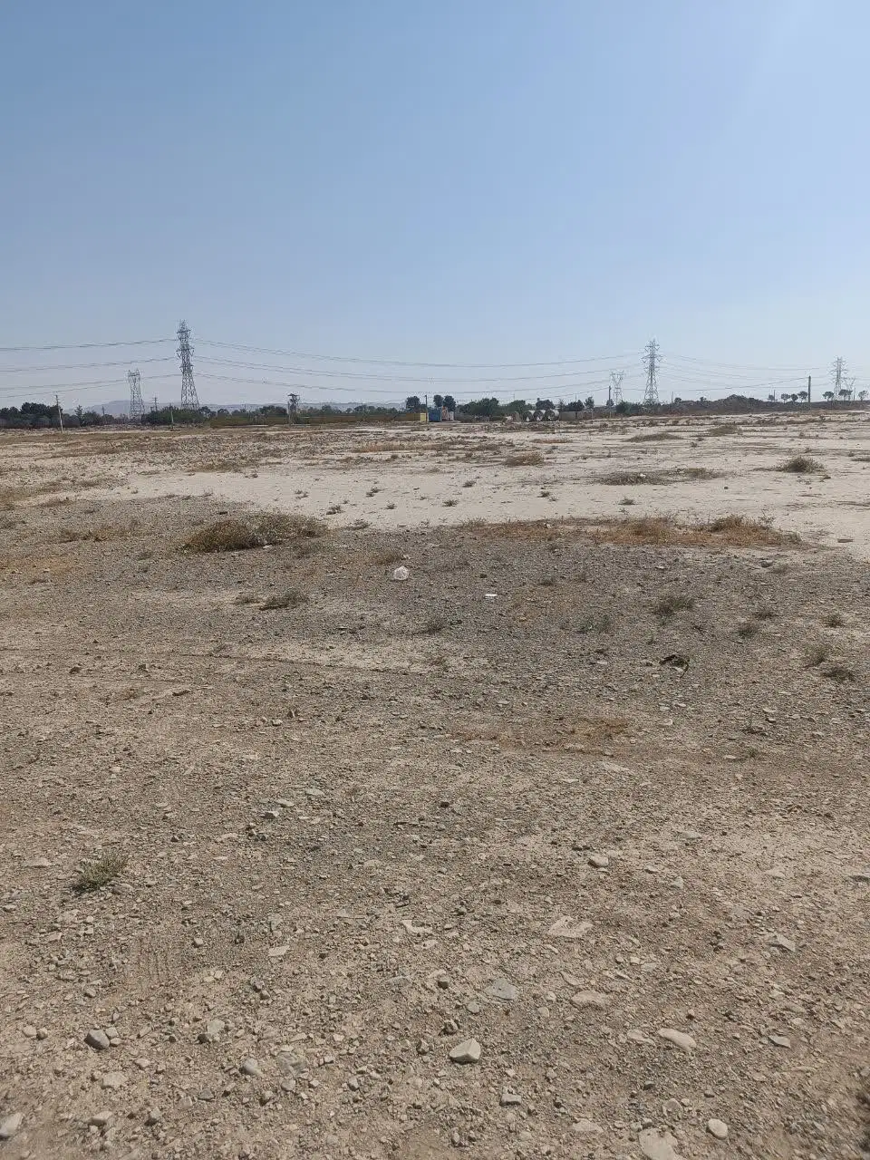زمین پشت بستنی پاندا کاج یکم
