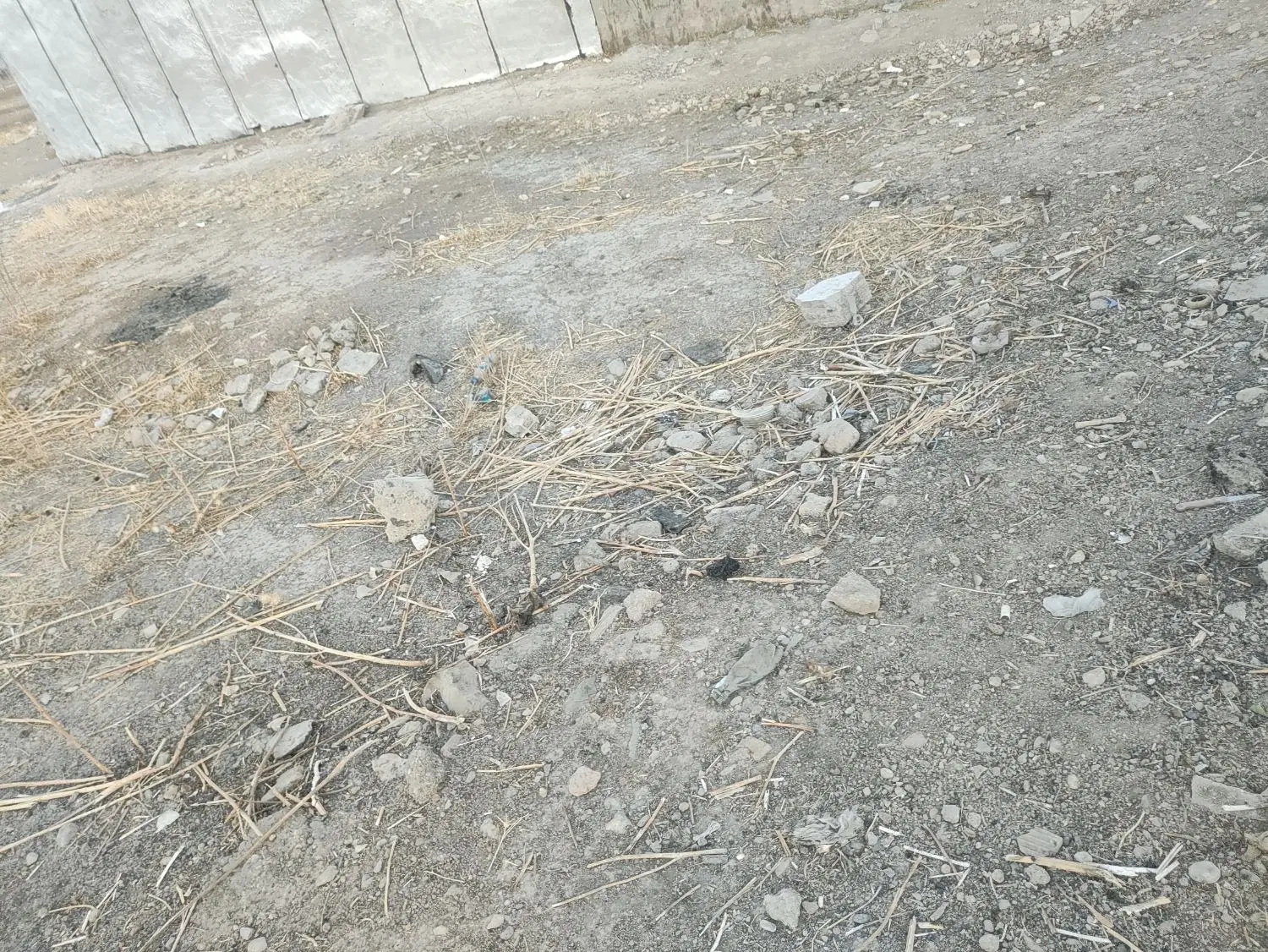 205متر زمین