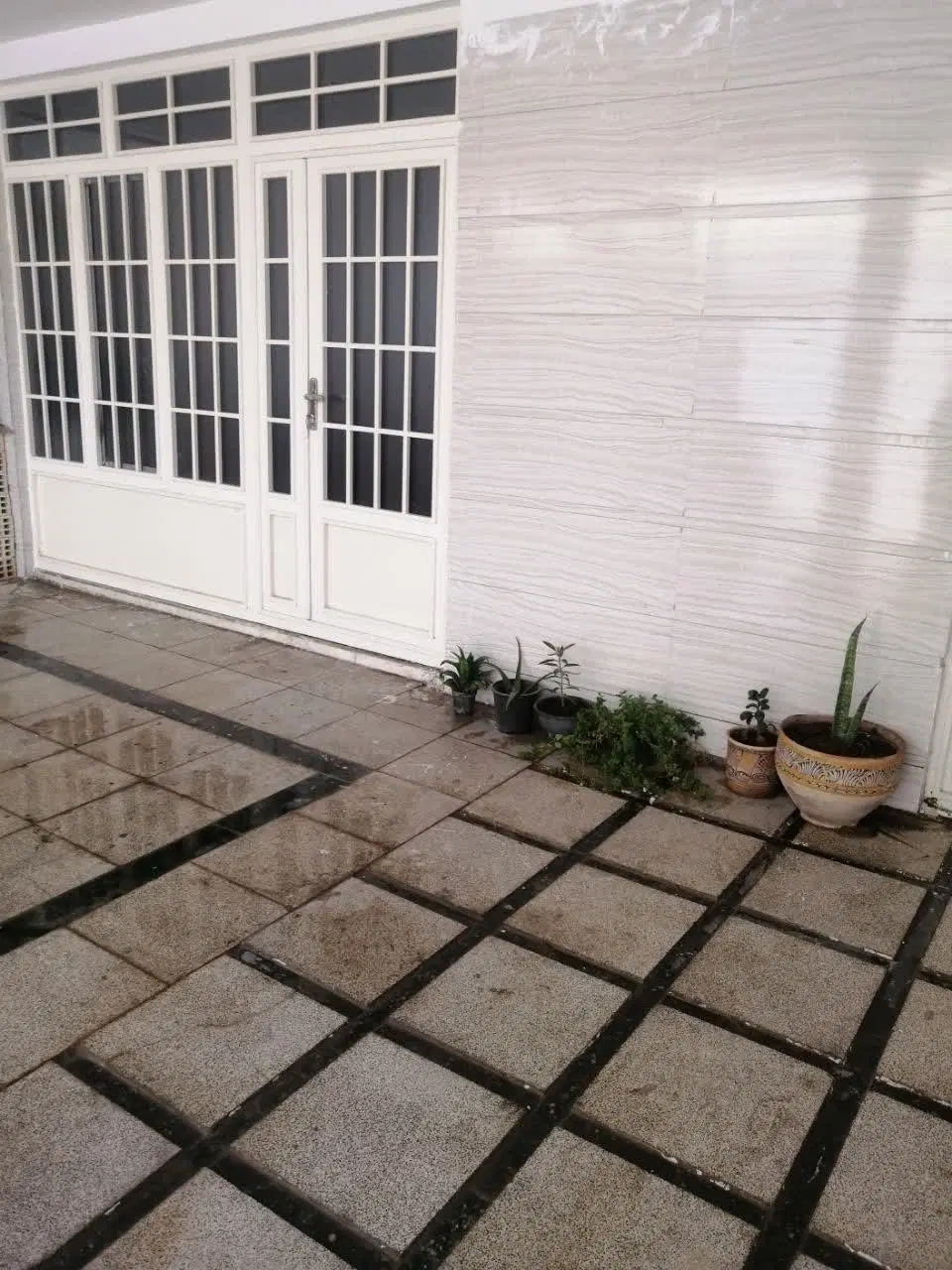 سوییت در ابشار طلایی