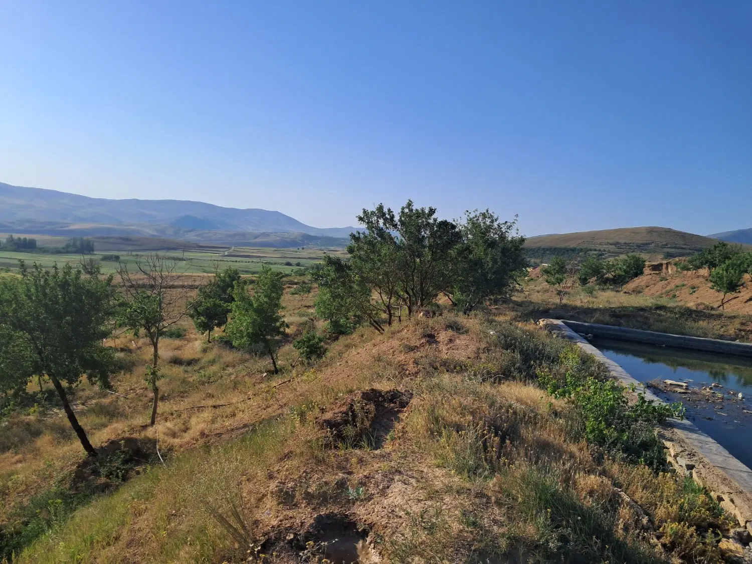 باغ دارای استخر