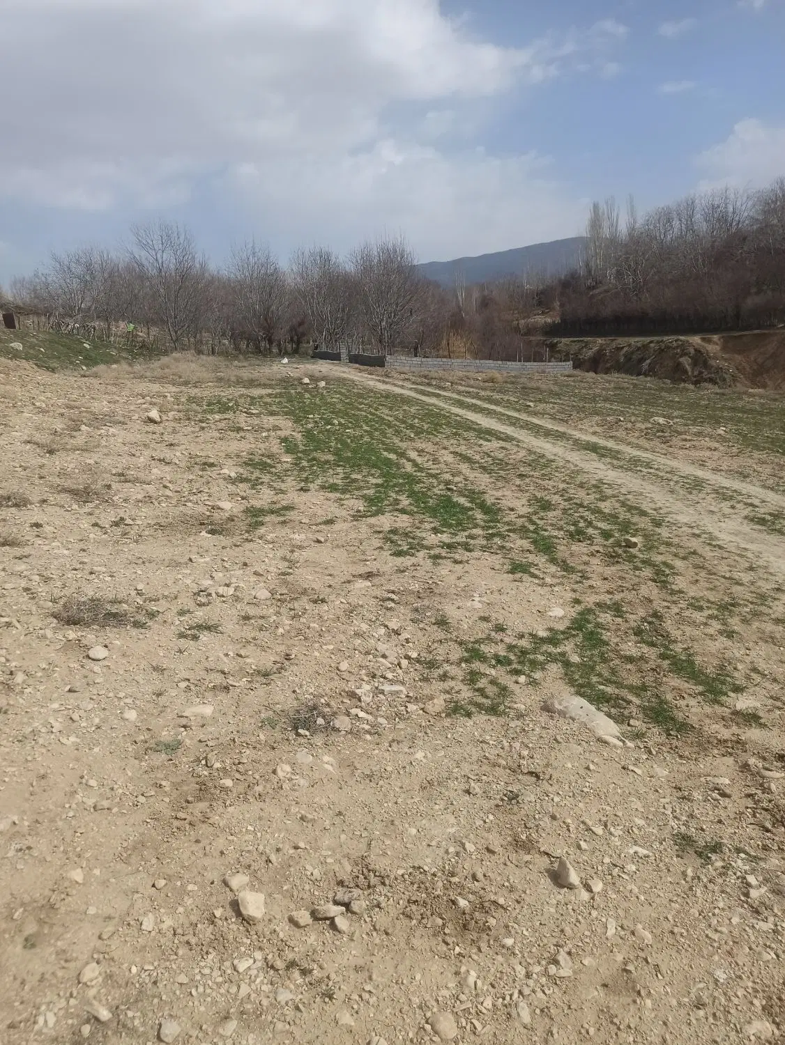 زمین