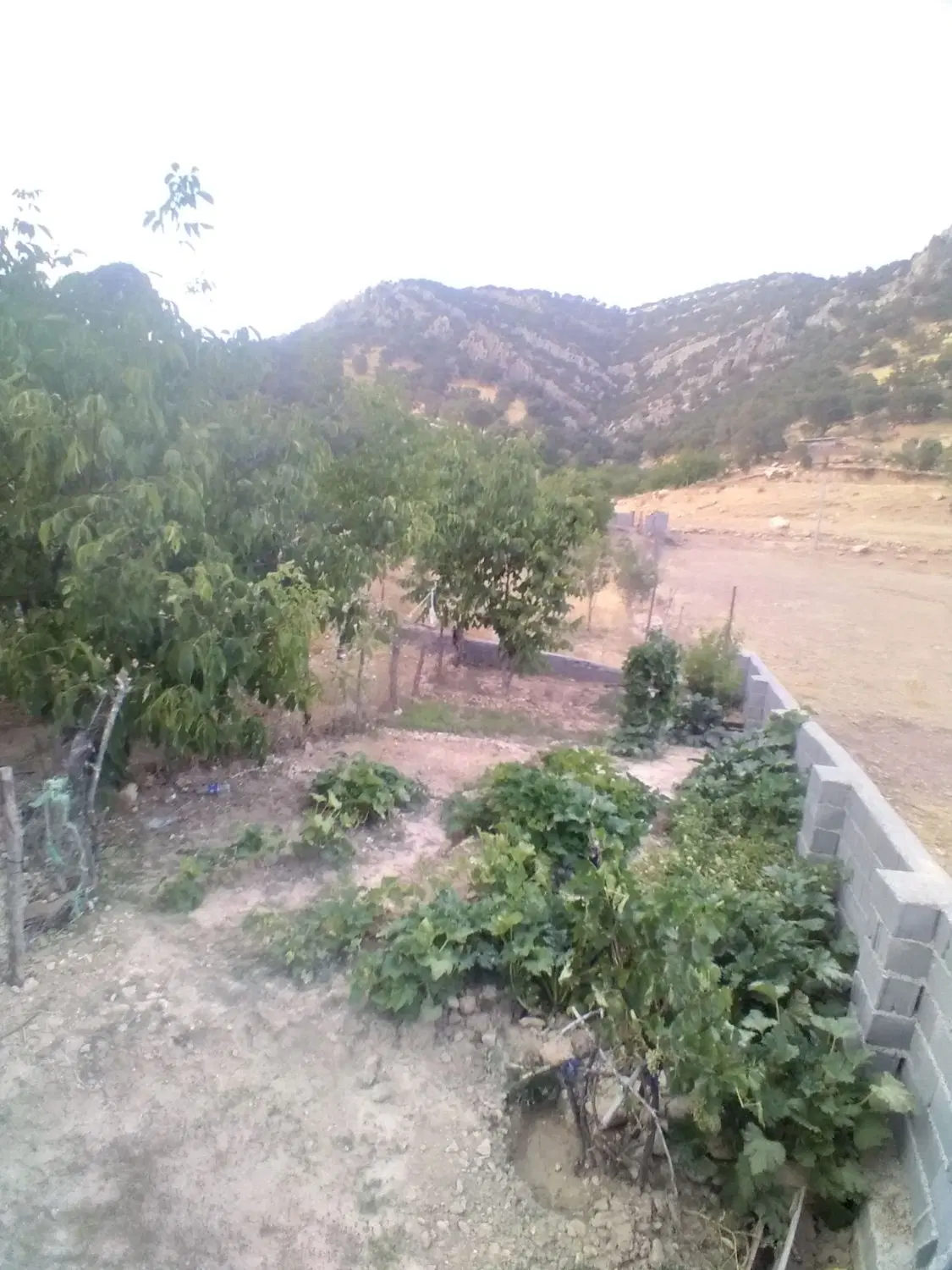 فروش خونه باغ
