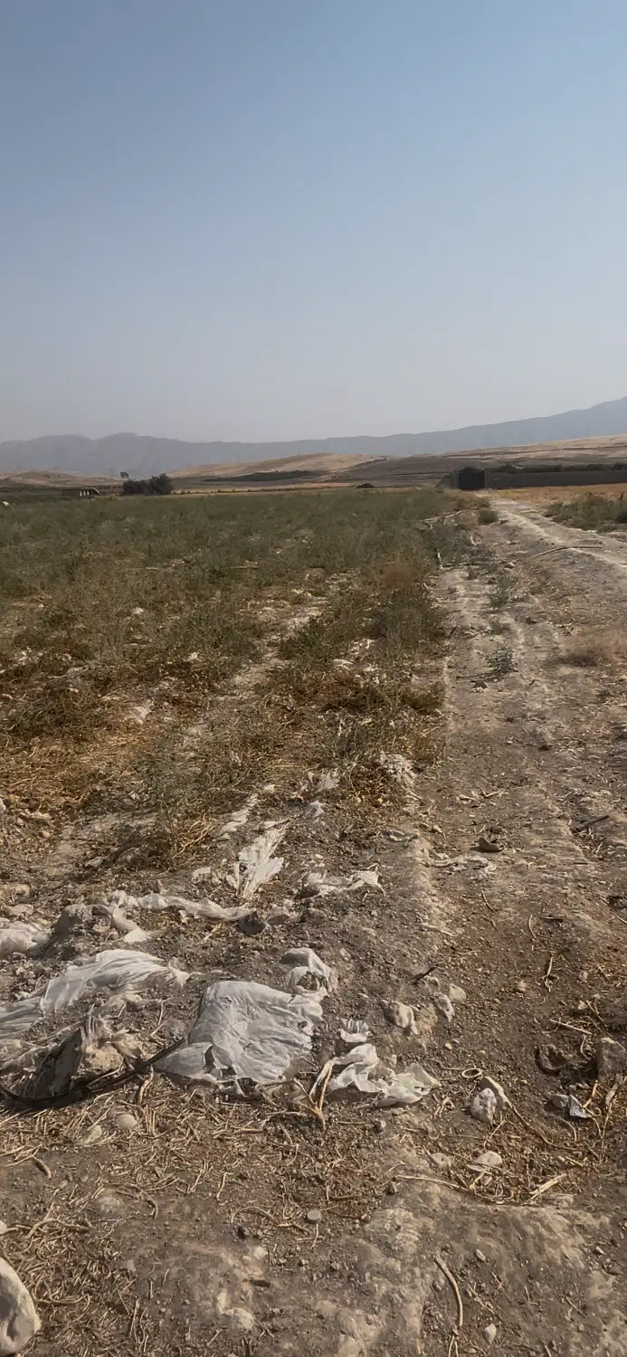 زمین کشاورزی و باغی ،فروش فوری