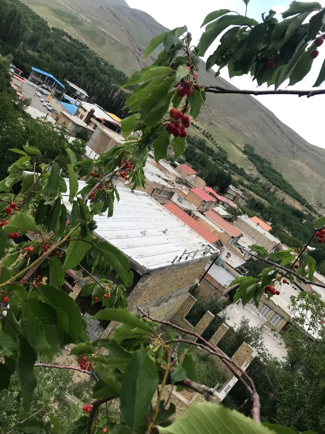 زمین مسکونی