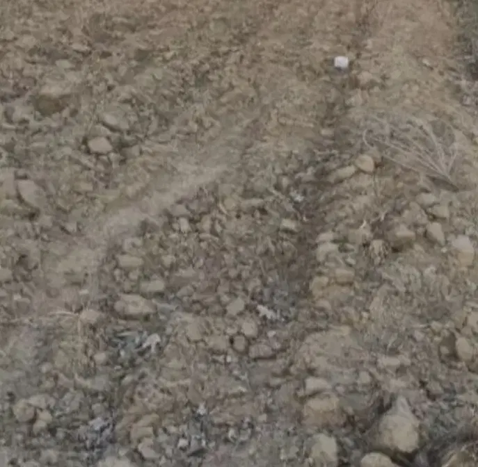 امتیاز زمین دادگستری زندان