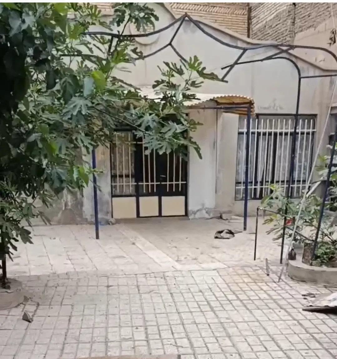 ویلایی 245 متر شکار