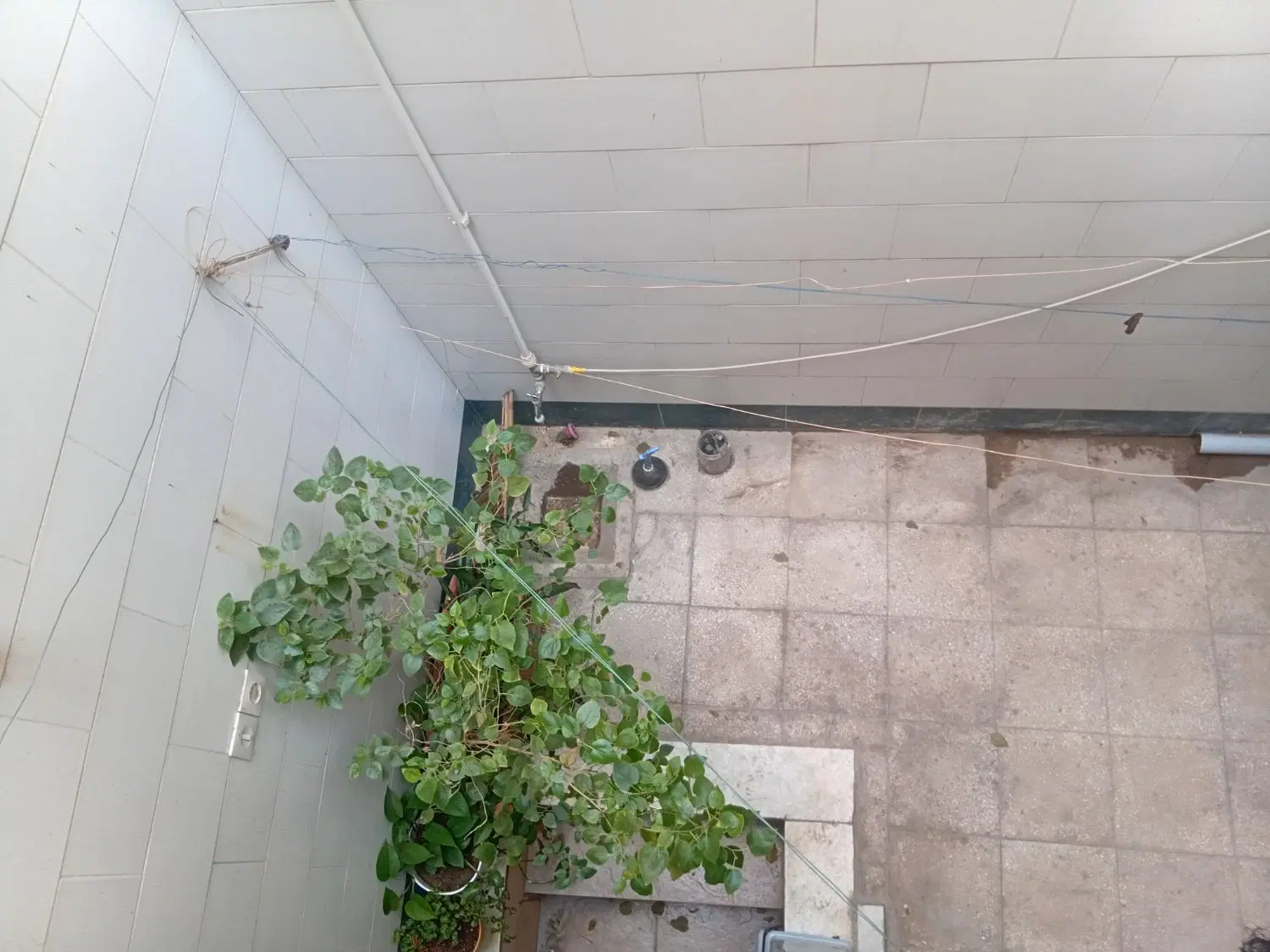 زیر زمین مسکونی مناسب زوج و هم کارگاه
