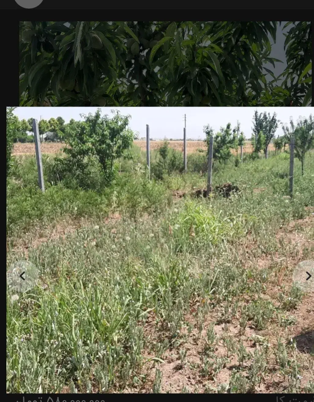باغچه ۴۰۰و۶۰۰ متری