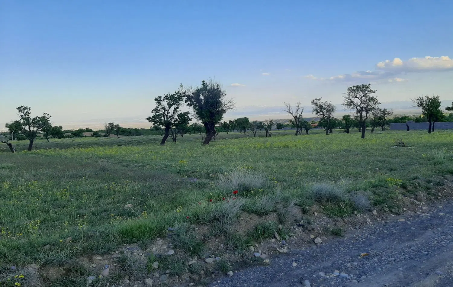 زمین مناسب ساخت ویلا در روستای سرکندیزج