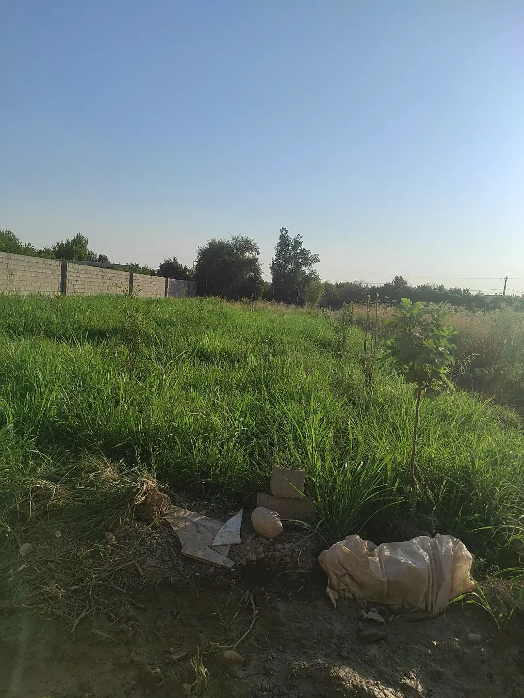 زمین باغچه