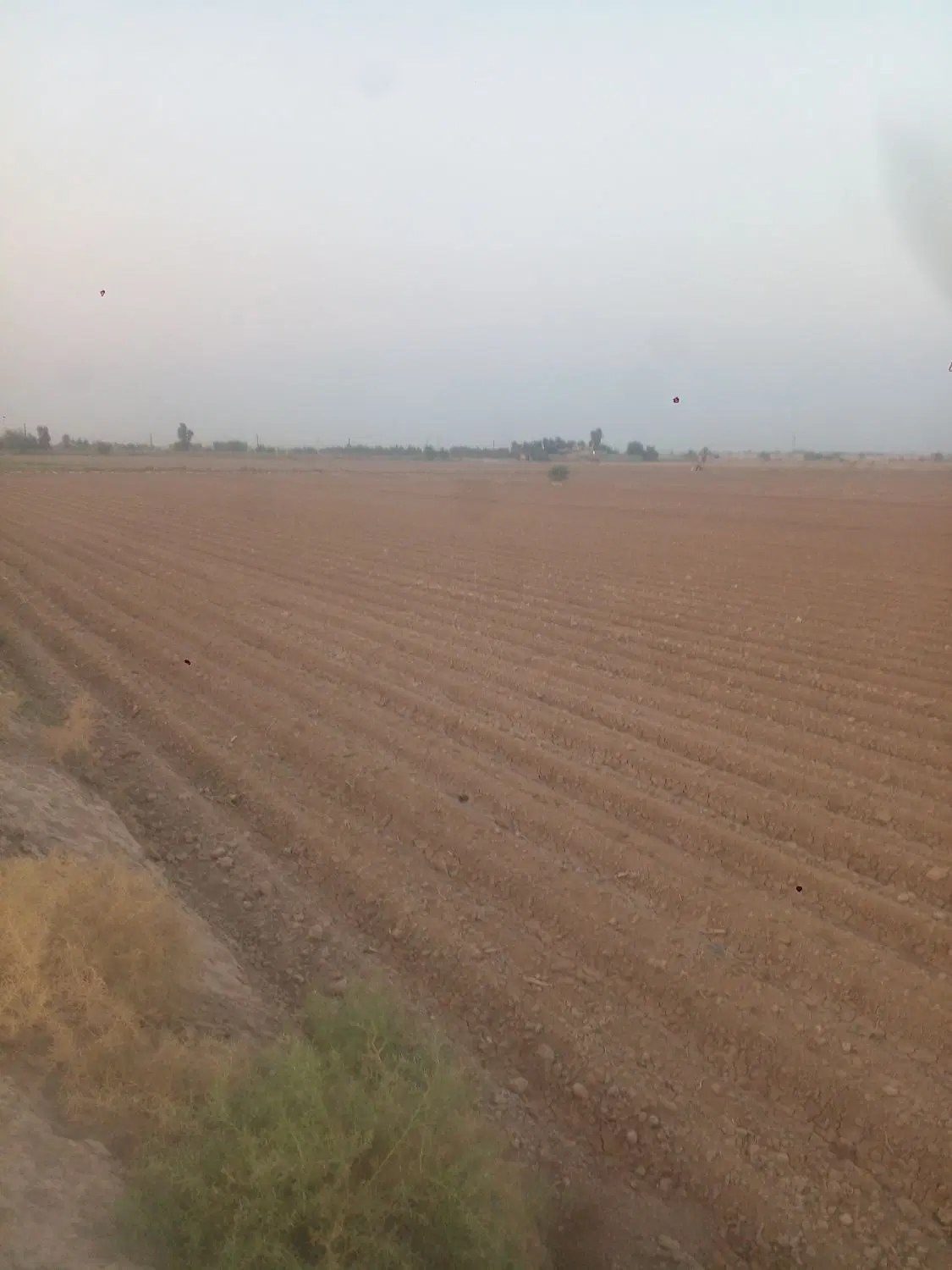 ۲هکتار زمین کشاورزی در دزفول