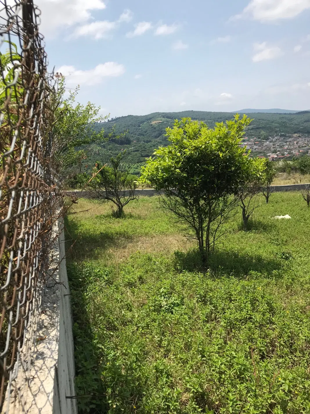 زمین کشاورزی