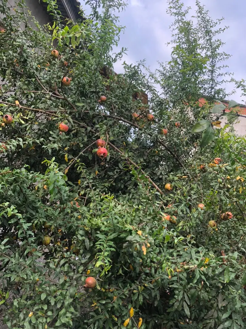 خانه مسکونی