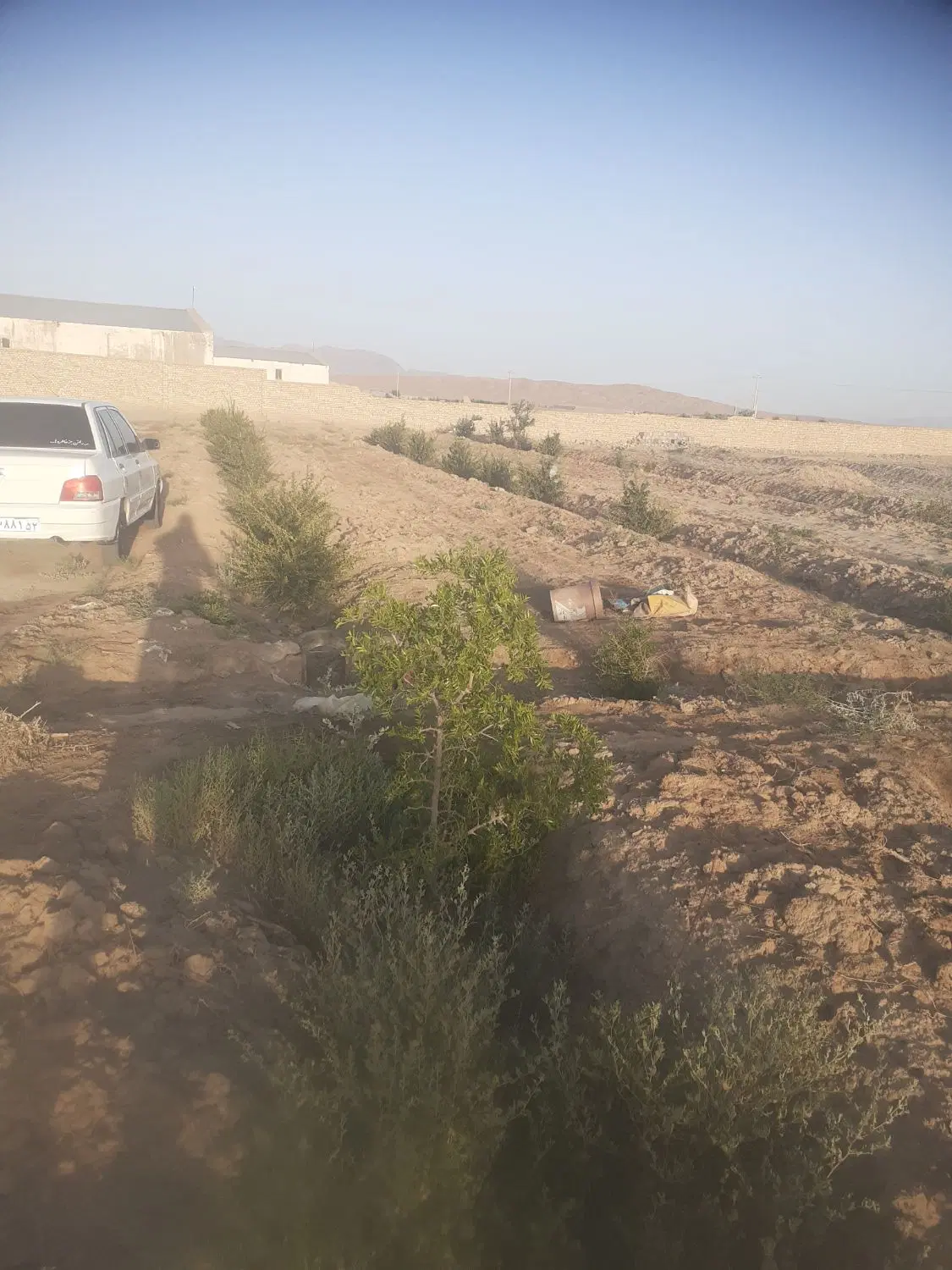 زمین کشاورزی دشت بجد