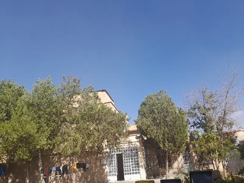 همخونه