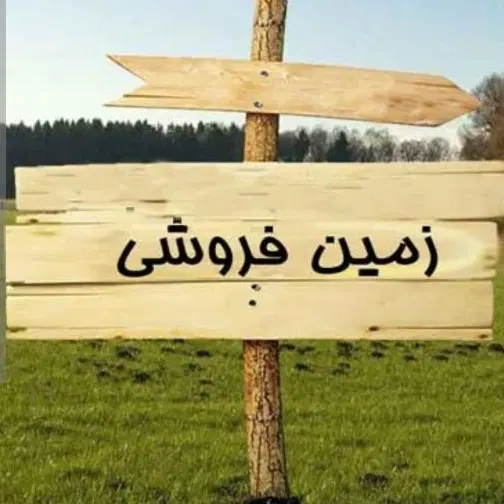 زمین