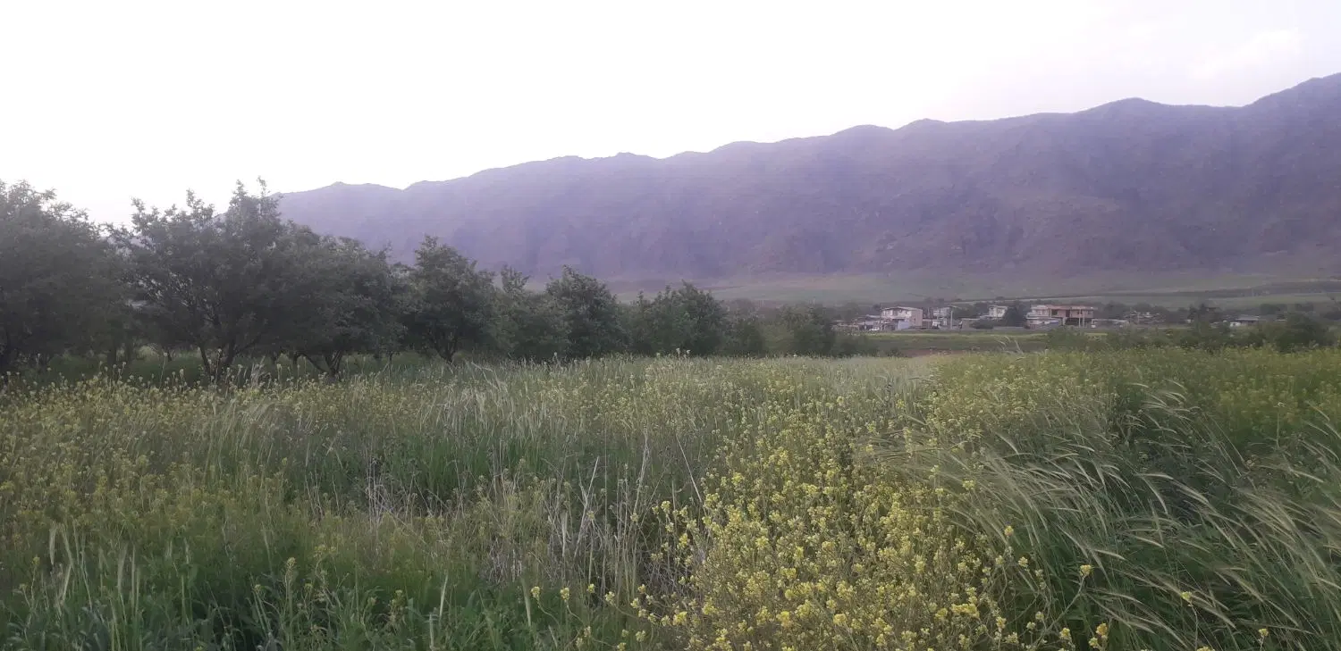 زمین و باغچه کمالوند