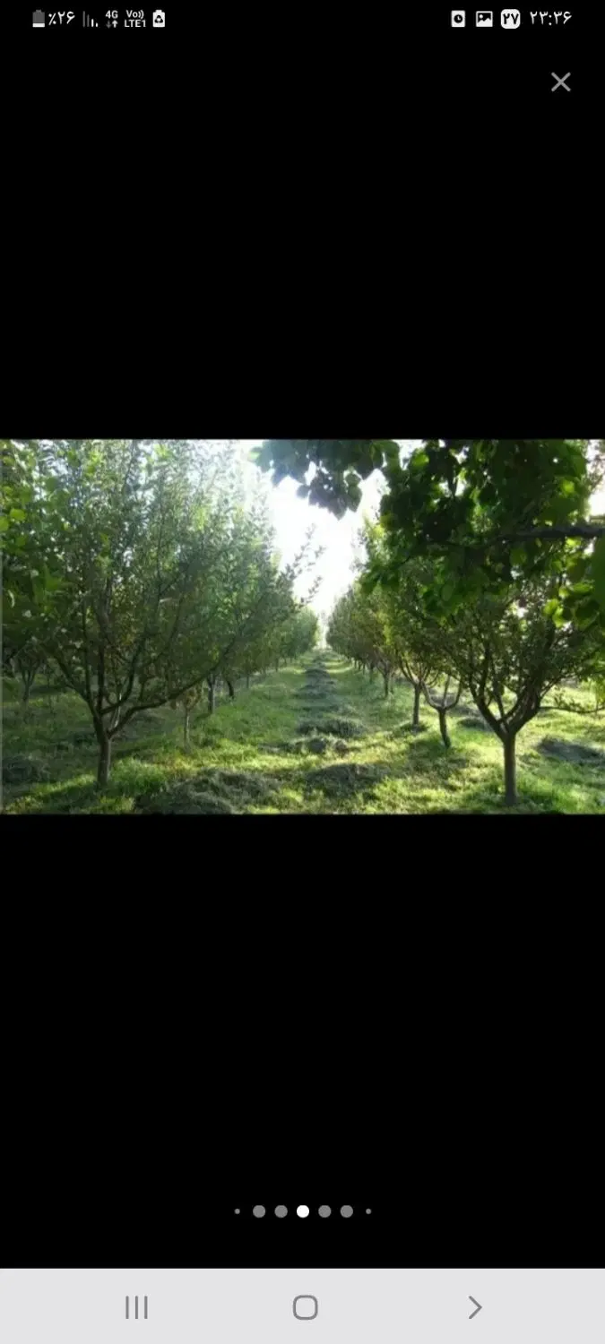 چهار هکتار باغ در کامیاران روستای وندرنی