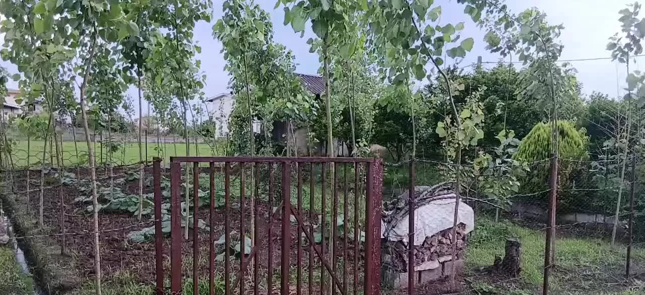 فرصت طلایی سرمایه گذاری. فروش زمین باغی 200متری