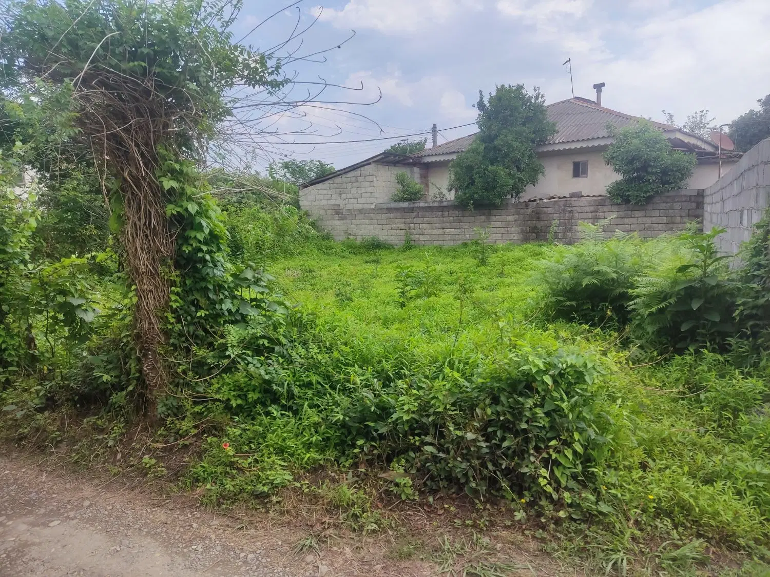 زمین با کاربری مسکونی