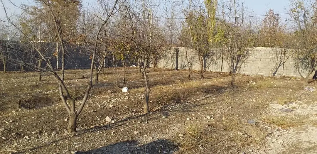 زمین ۱۰۰۰مترسند تکبرگ