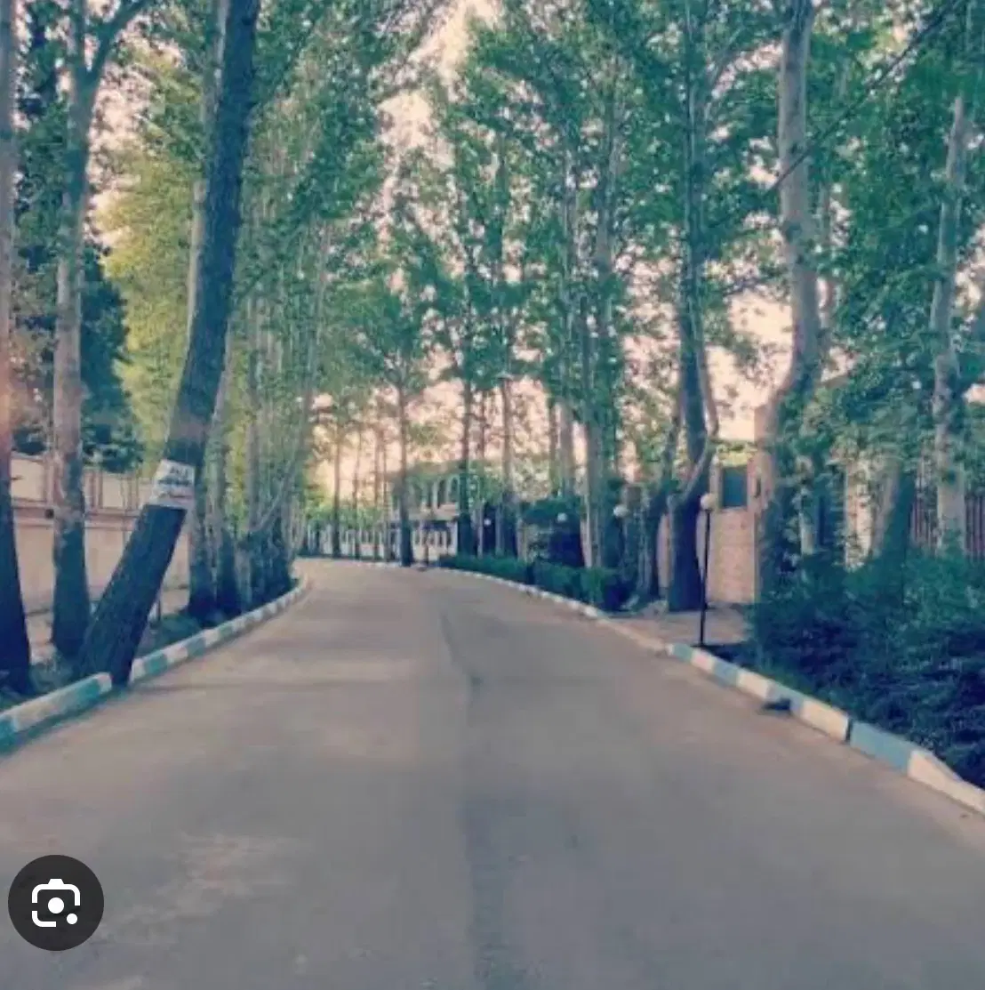 زمین بر اصلی زیبا دشت