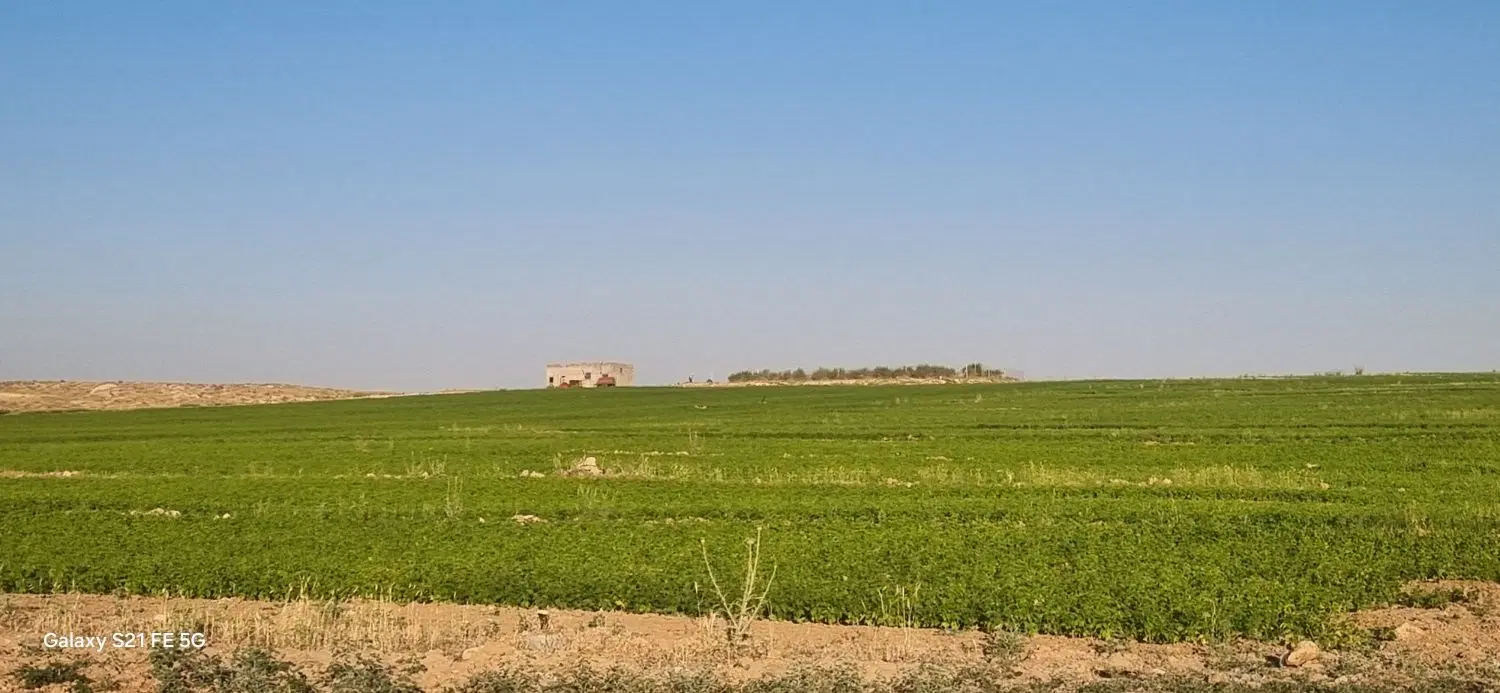 زمین کشاورزی با آبیاری تحت فشار بارانی