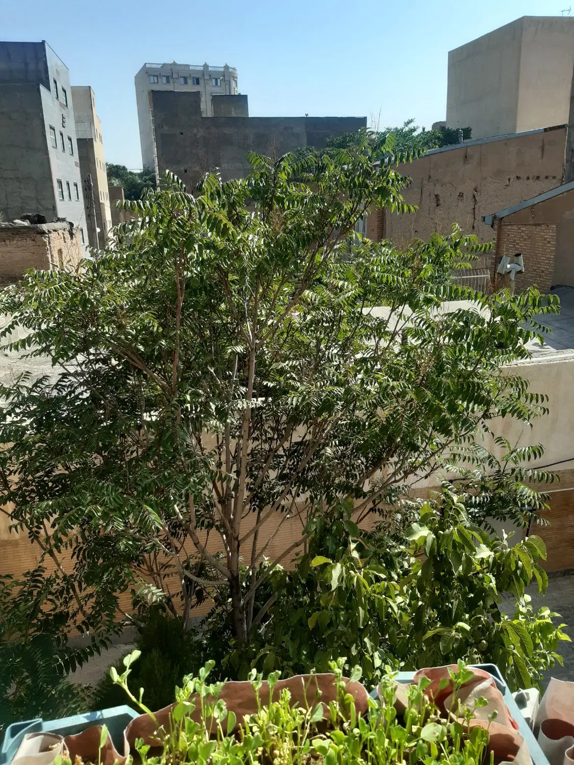 اپارتمان در بهترین منطقه ی ششگلان