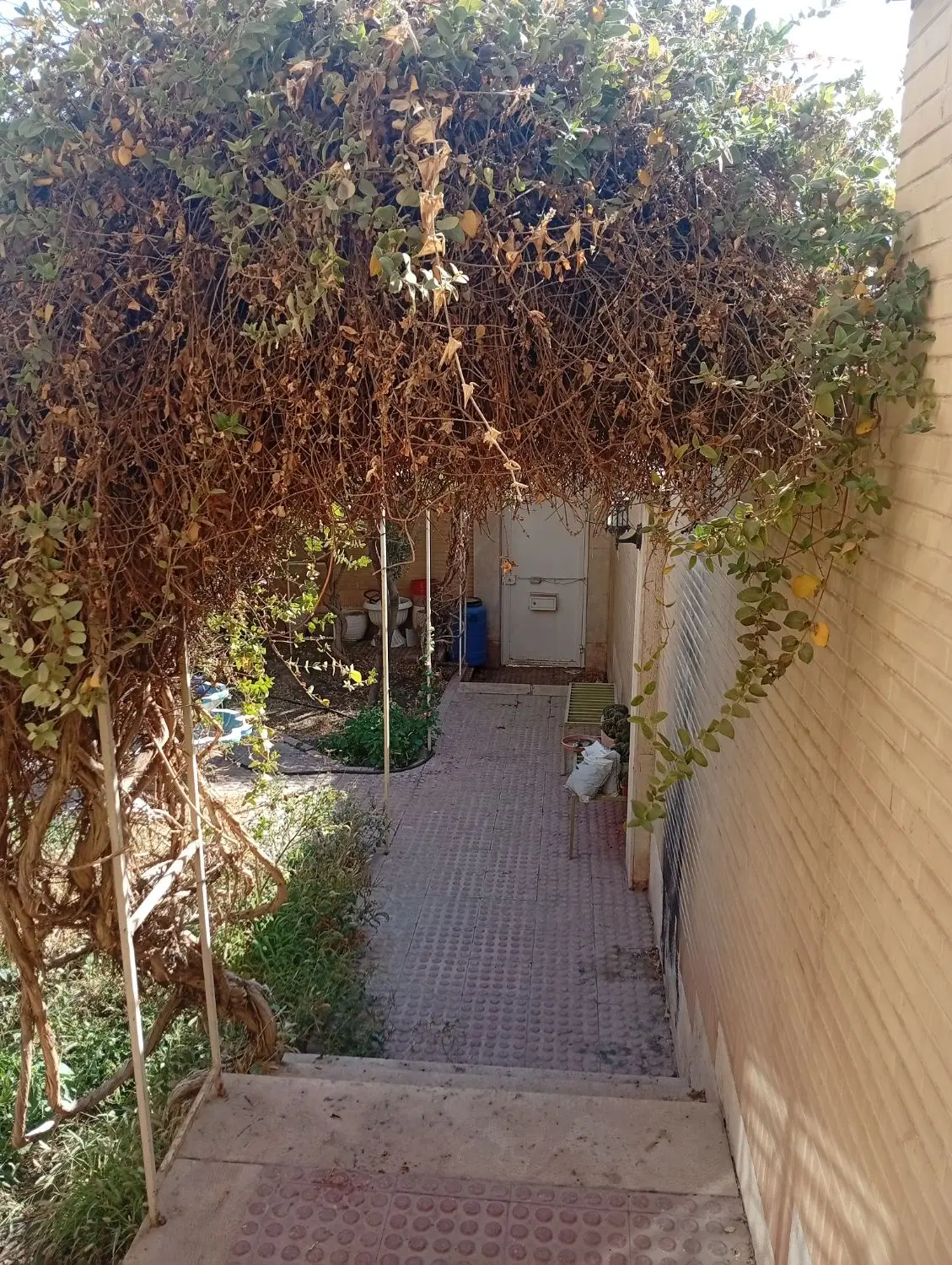 ویلایی ۲۱۰متری شمالی