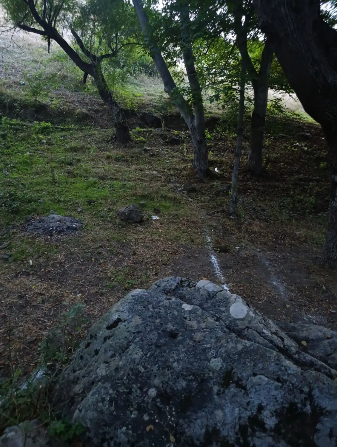 مغازه برای سنگک پزی آذاد