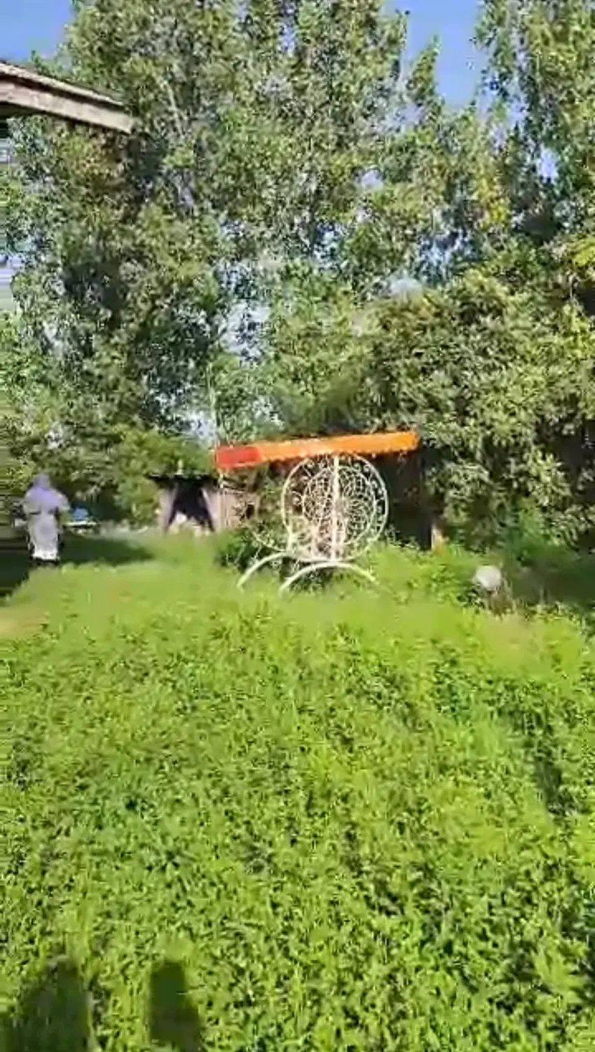 باغ ویلا ویو‌جنگلی