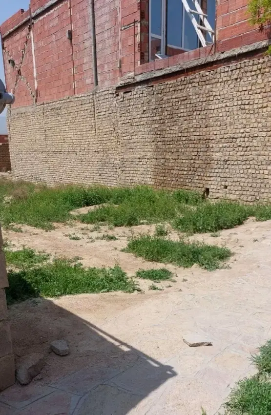 13 قصب زمین عیش آباد