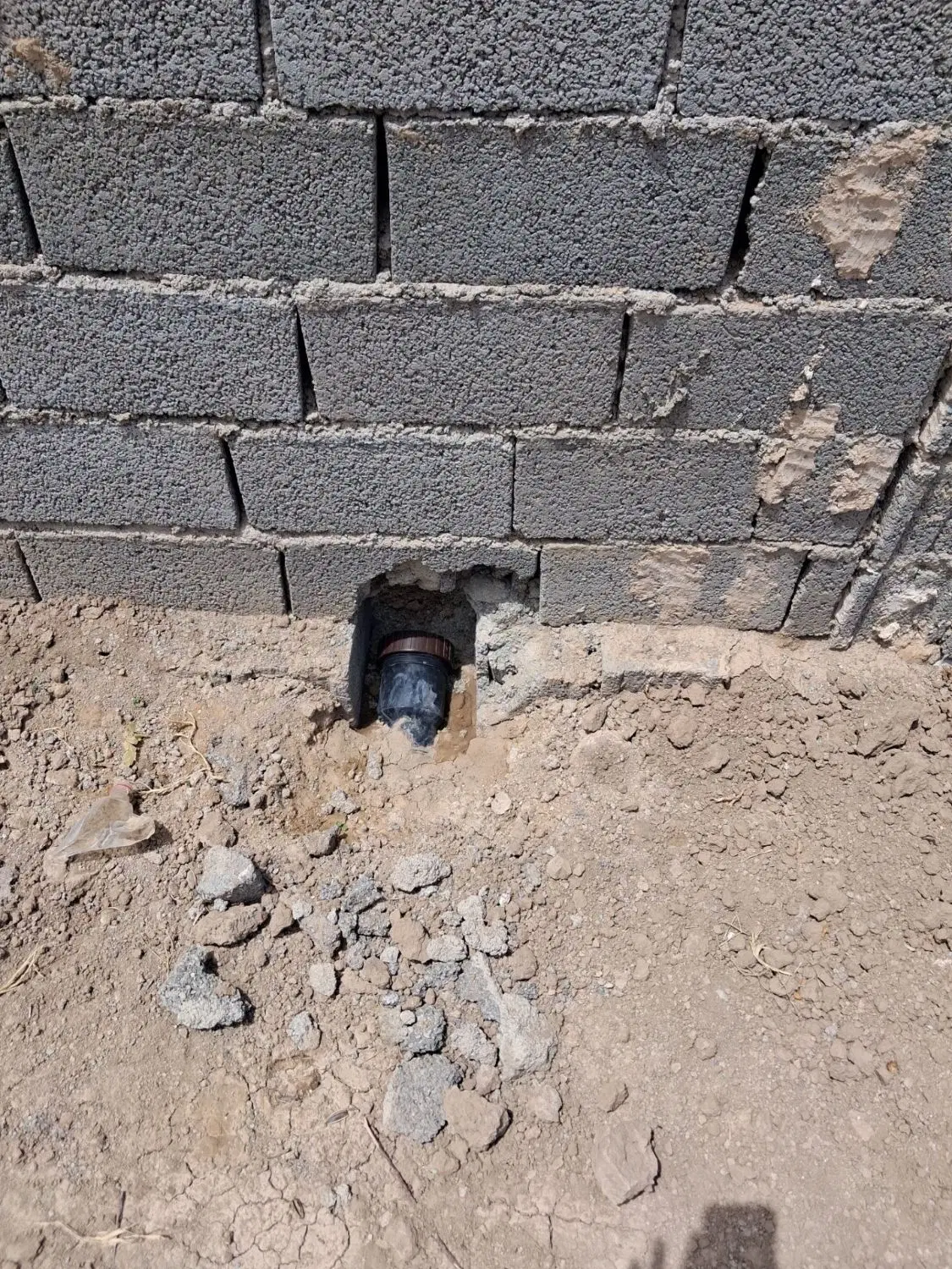 باغچه