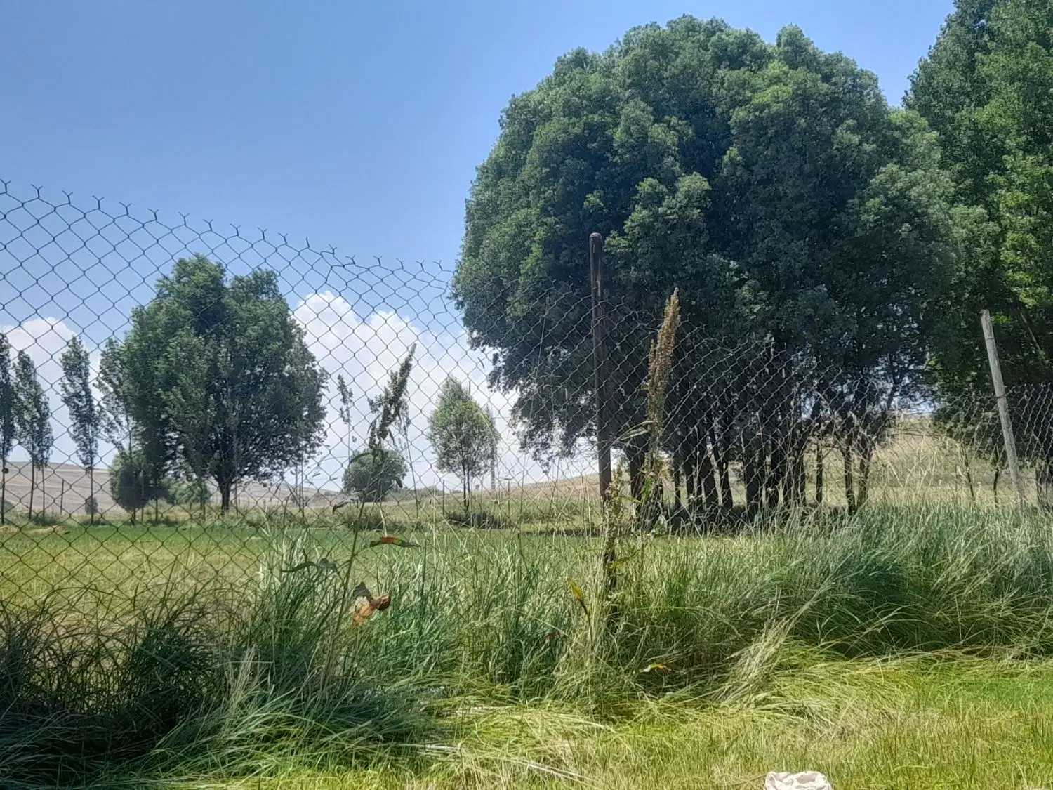 نیازمند شرکت هلدینگ قوی برای اجرای پروژه ها