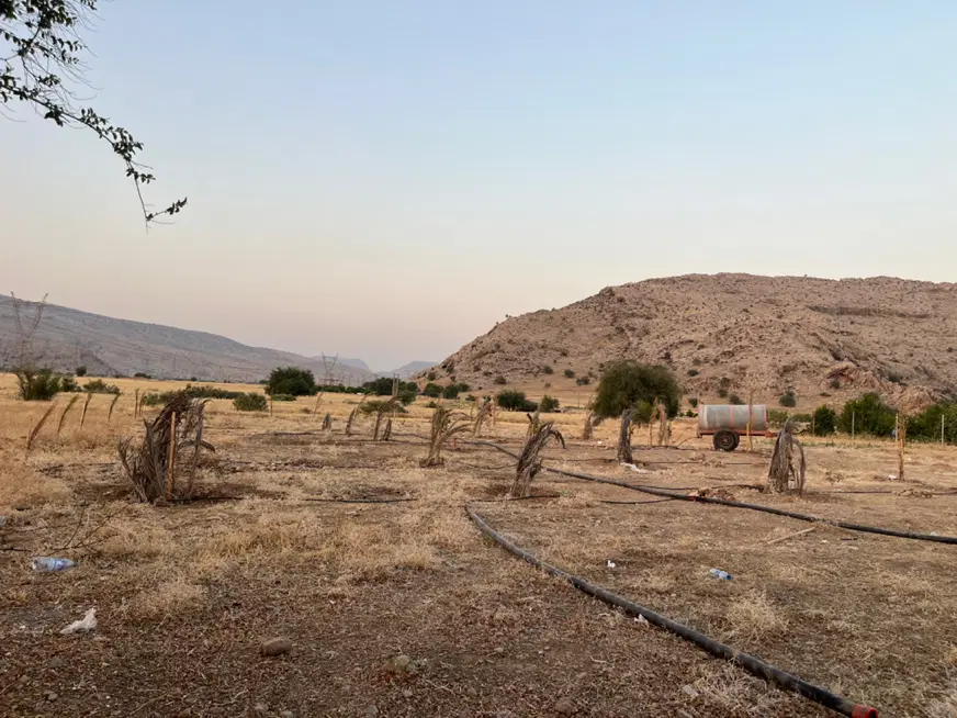 زمین کشاورزی (باغی)