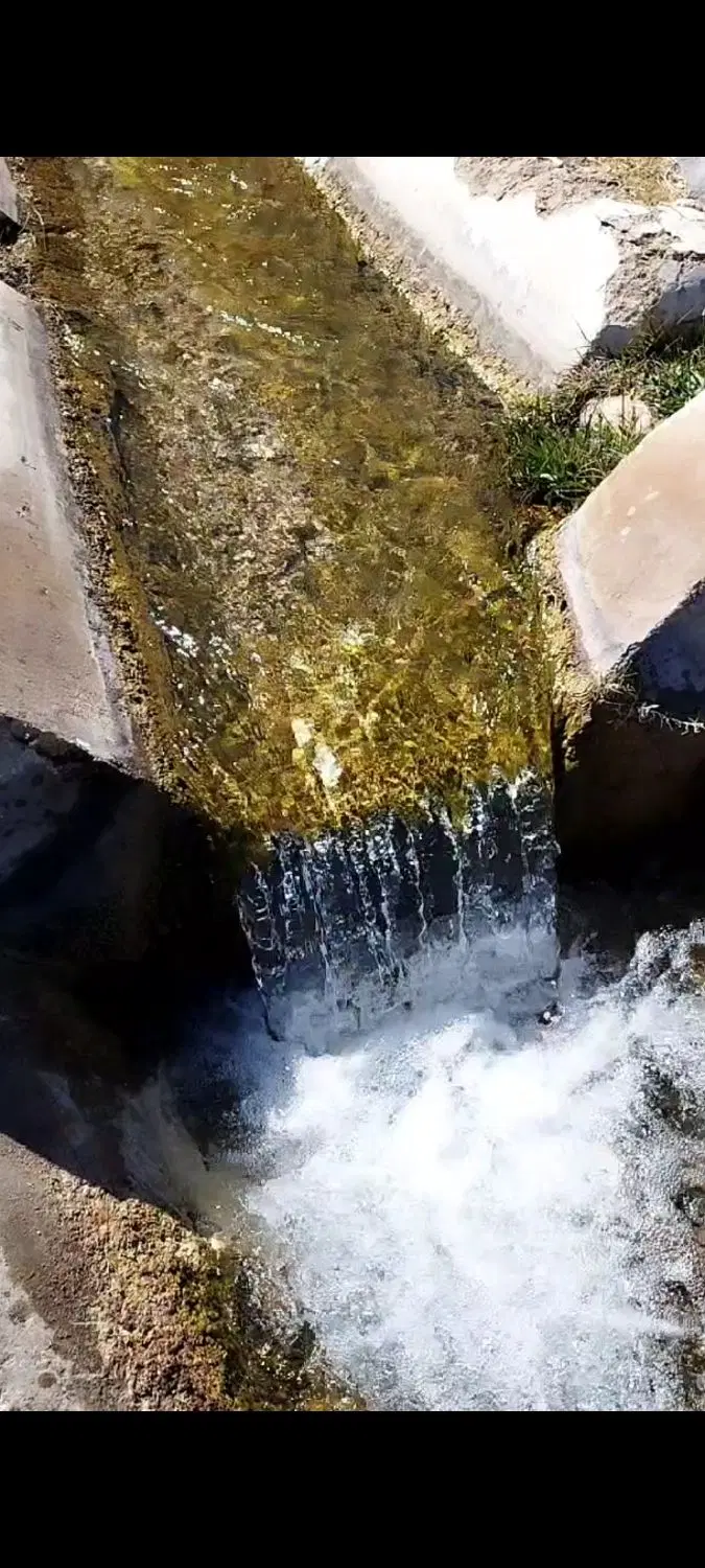 فروش زمین مخصوص خونه باغ