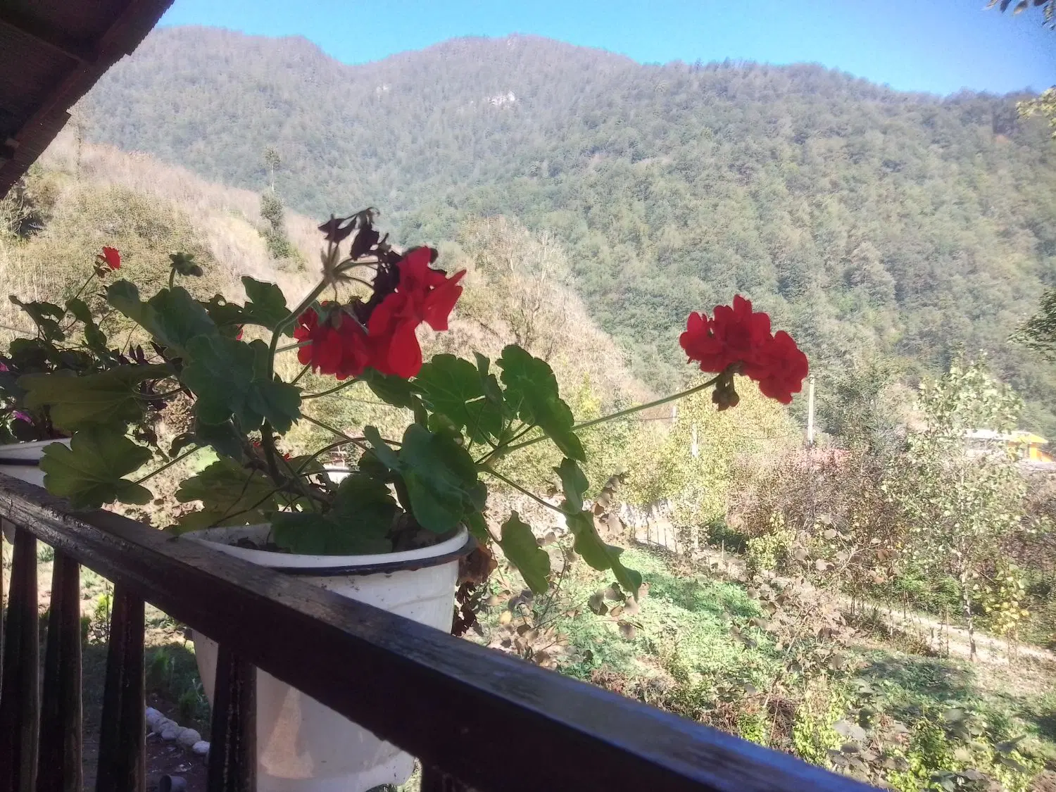 فروش خانه مسکونی