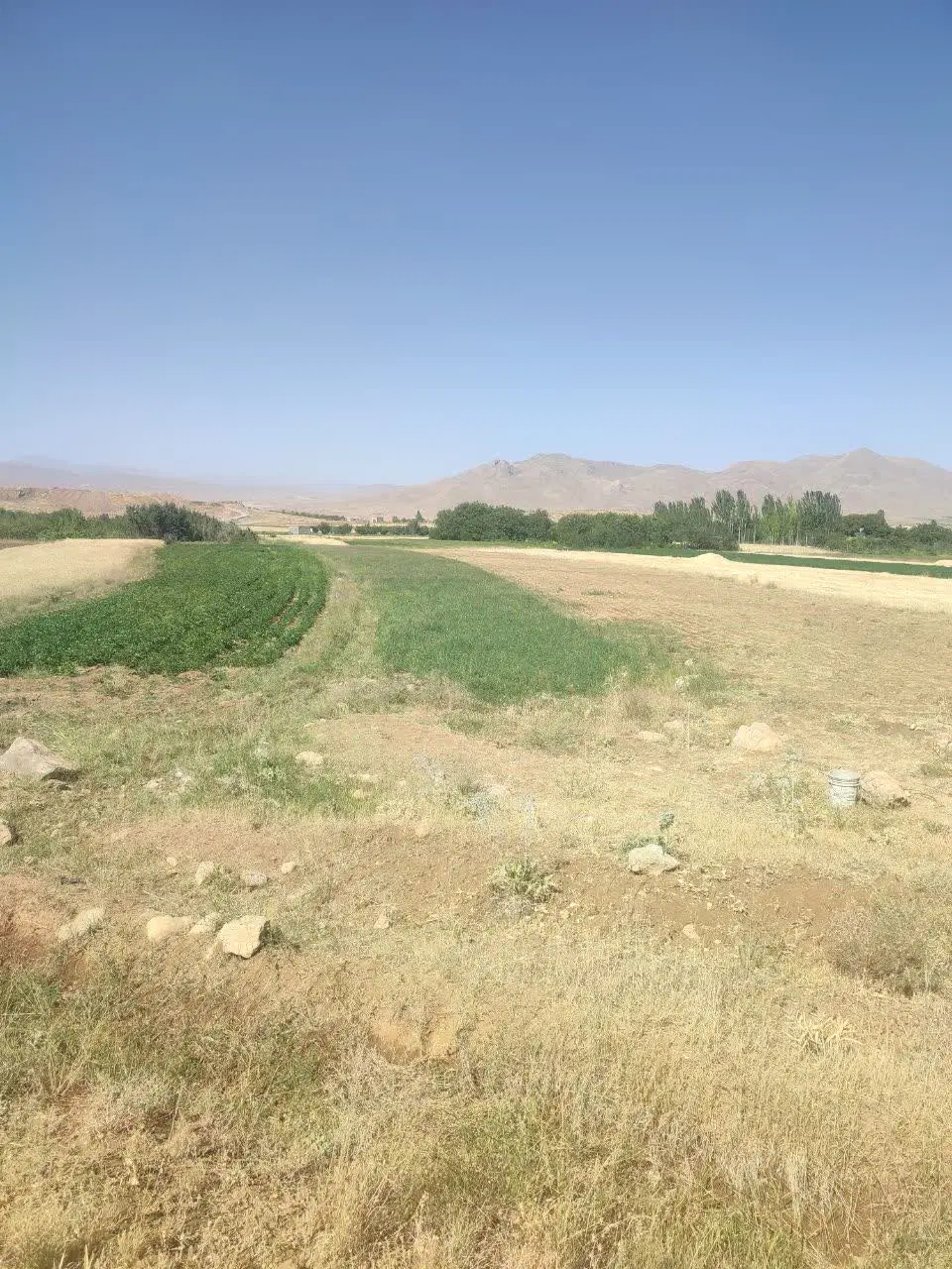 زمین کشاورزی مناسب سرمایه گذاری