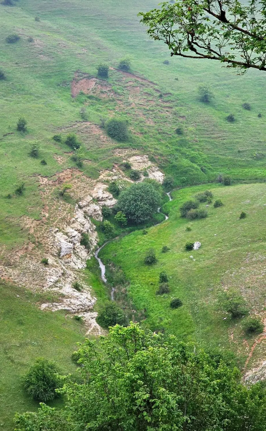 زمین