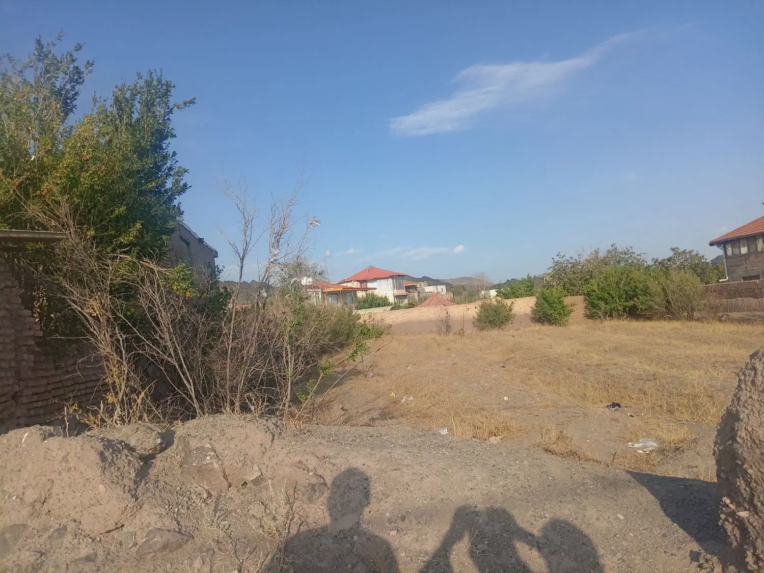 زمین باغی