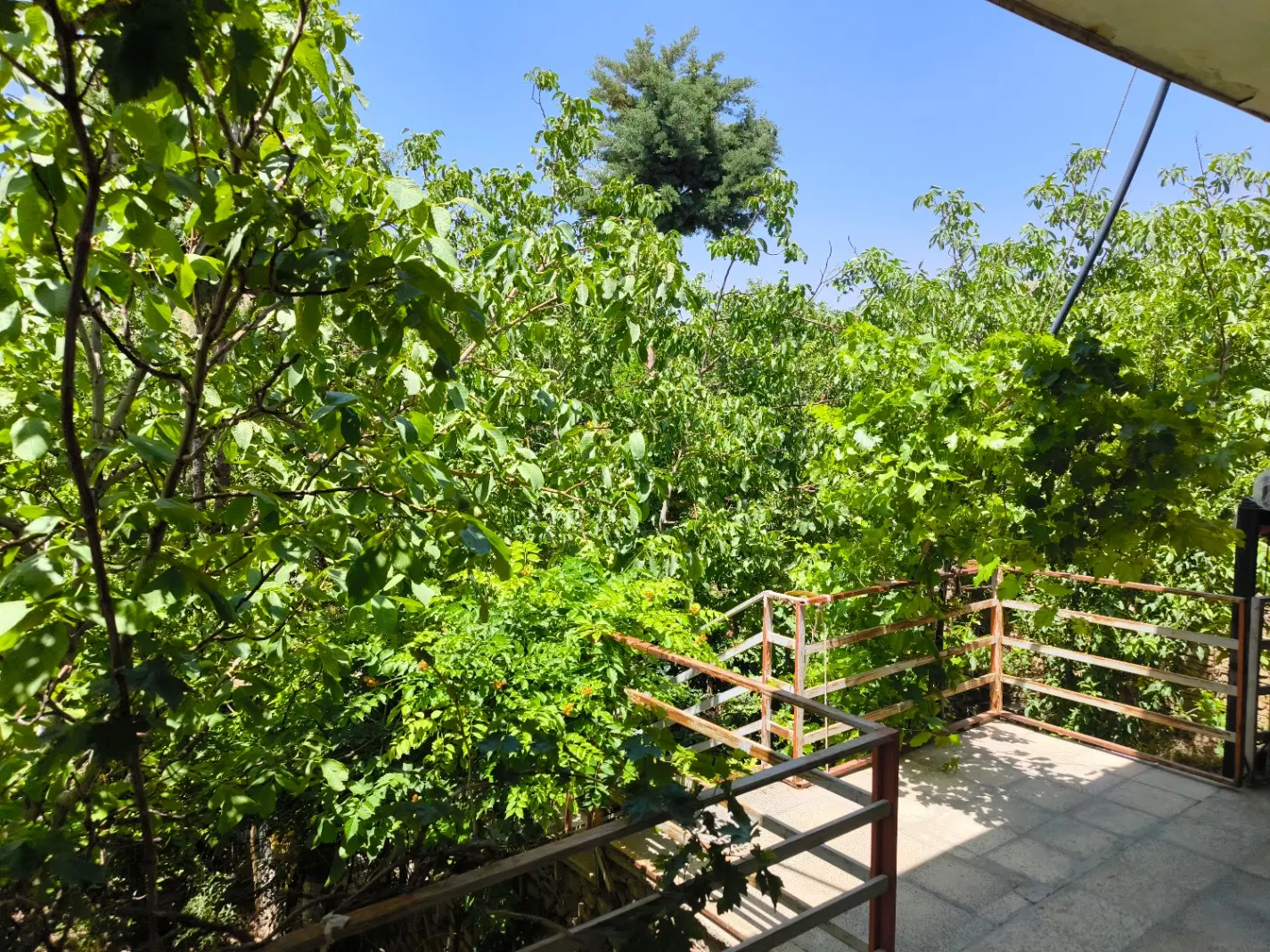 خانه باغ