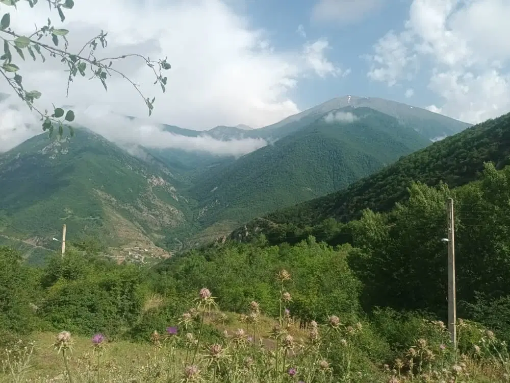زمین داخل بافت