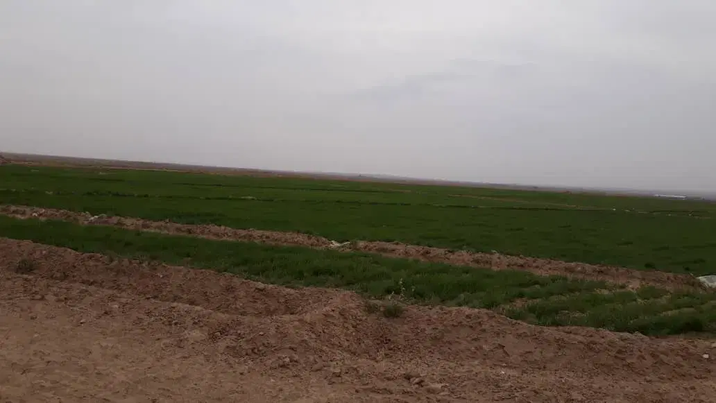 زمین سرخده سفلی(دهکله)
