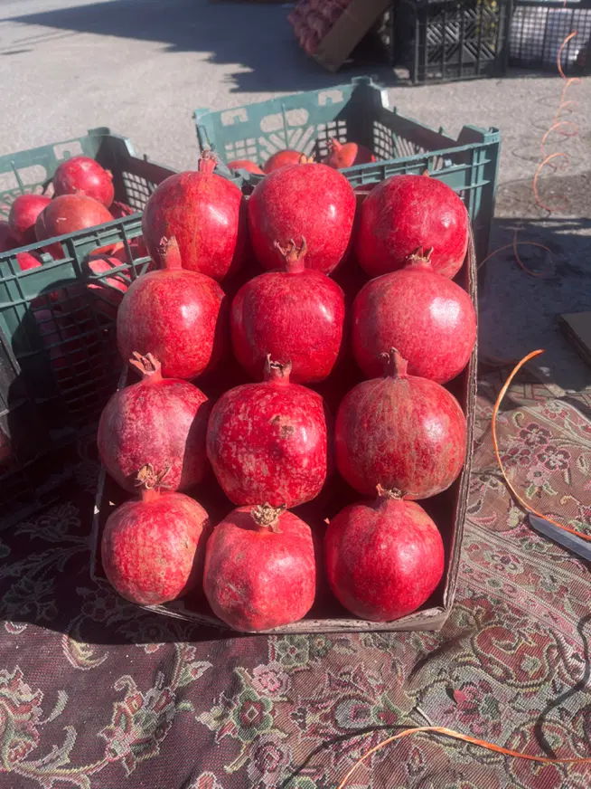 باغ سیدقلی کهنه باغ