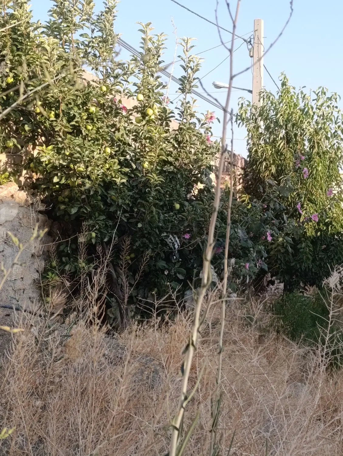 منزل 600 متری  سه نبش