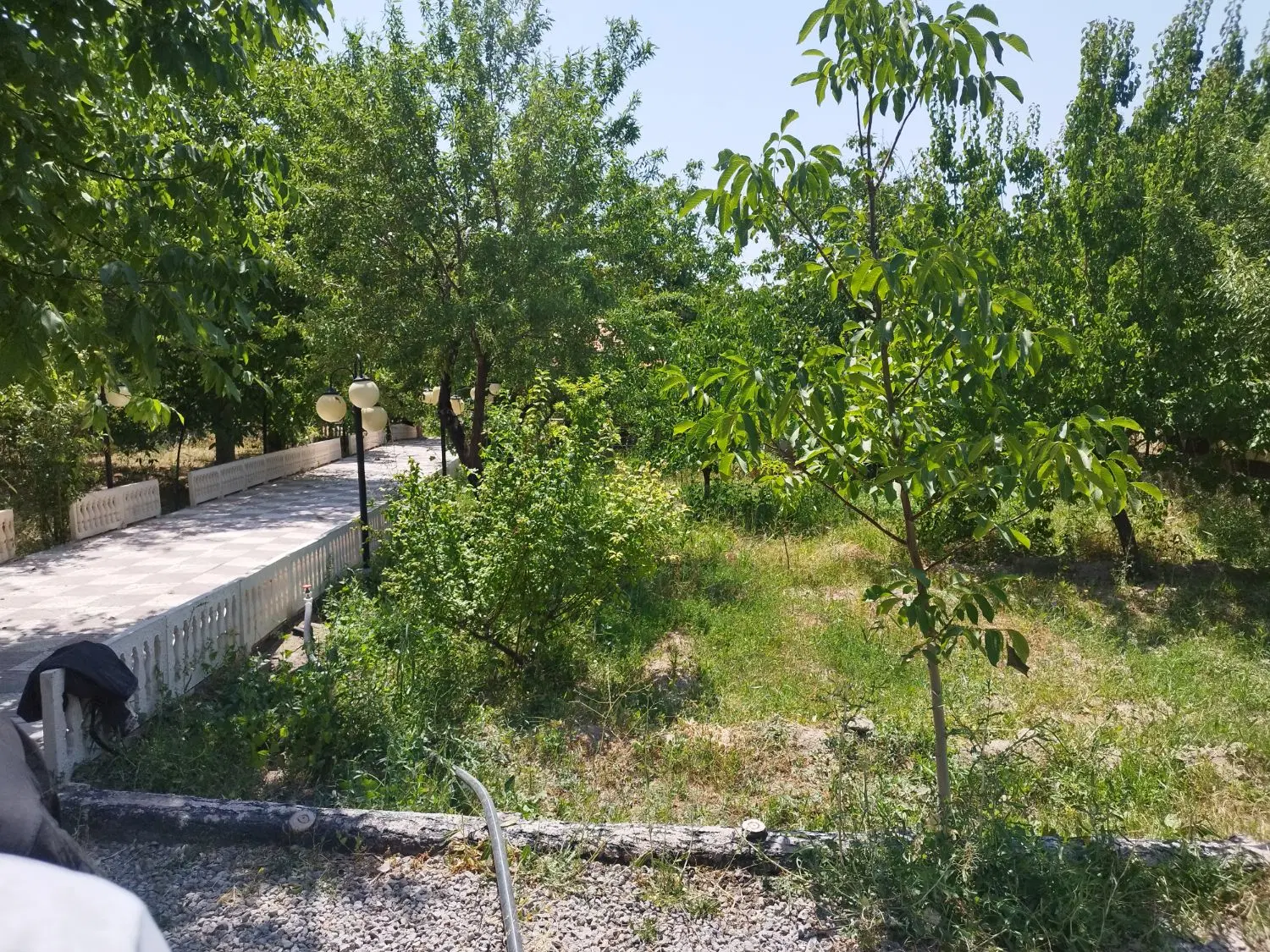 ویلا باغ